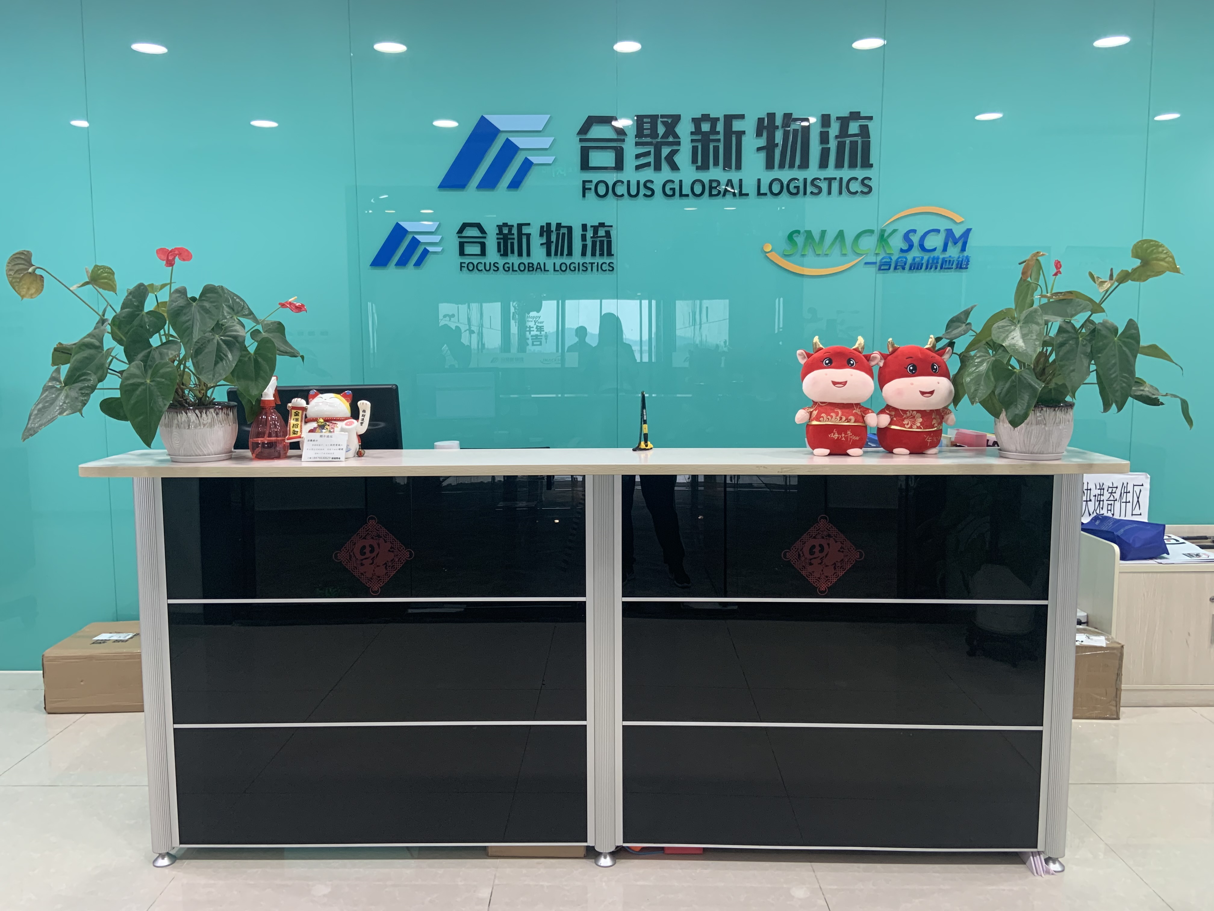 Shenzhen Fokus Global Logistik Corporation Ltd.
