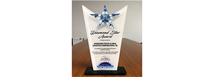 Diamant-Star-Award 2